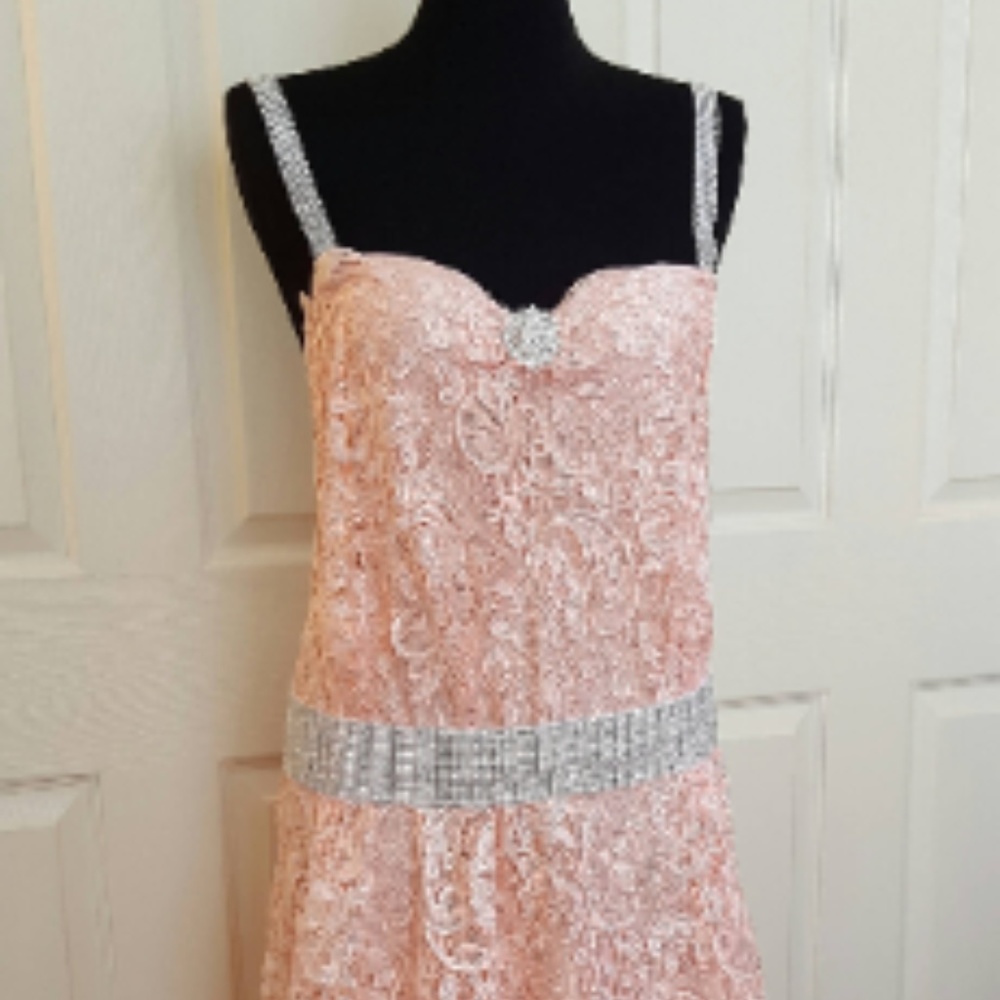 Custom Blush Gatsby Inspired Lace Wedding Gown